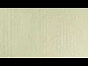 Wildest Moments- Jessie Ware lyrics
