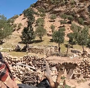 2.7K views · 73 reactions | The steps of making curd by Iranian nomadic women | Outdoor Cooking | Facebook