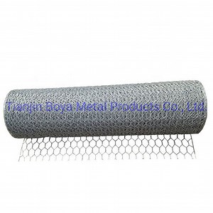 [Hot Item] Galvanized Hexagonal Wire Netting Chicken Wire Mesh 25mm Mesh Size