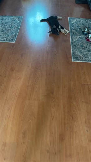 Ashlyn Hebert on TikTok