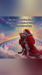 159K views · 5.4K reactions | Even Santa loves cats. | Cat Lovers Club | Facebook