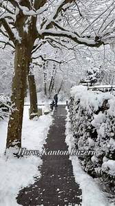 Schneewalzer – Winterzauber im Takt der Schneeflocken Wenn der Schnee leise fällt und der Winter die Welt verzaubert, erklingt der Schneewalzer von Peter Alexander. Ein Lied voller Eleganz, Leichtigkeit und winterlicher Romantik – wie ein Tanz der Schneeflocken durch die kalte Luft. ❄️🎶✨ #Schneewalzer #PeterAlexander #Winterzeit #Schneezauber #Winterstimmung #KlassischerSchlager #Nostalgie #ShortsDE #Wintermusik #TanzDerSchneeflocken | Olga Becker