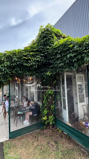 Discover Queenies: The Hidden Gem of Ponsonby