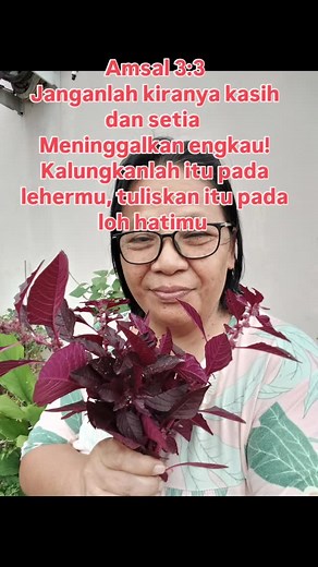 Budidaya tanaman sayur bayam merah #sᴇᴍᴜᴀᴏʀᴀɴɢ #berkebun #panen | Purnama Purnama