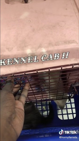 Método Gratis de Petsmart para Mascotas