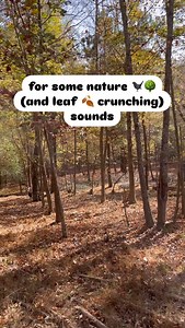 With over 45 acres, we get to provide the animals with diverse landscape, giving them the chance to explore all that nature has to offer 🌲🪵🌿🌼🌾🪨 | Piedmont Farm Animal Refuge