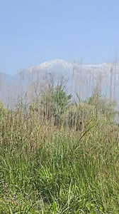 60K views · 1.6K reactions | Kangra valley ❣️❣️ | Kangra Valley, Himachal Pradesh | Facebook