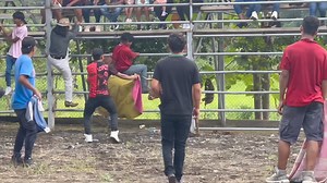 #Cumandá 🐂Toros del pueblo Este 15 de junio ven y vive una tarde divertida con la gran corrida de toros, además tenemos varias actividades de entrenamiento LOS PAYASOS,PIPÓN, PATOLÍN, JUANITO, EL DJ CHULETA Y EL LOCO DE LA ANIMACIÓN SE ENCARGARÁN DE REGALARTE ALEGRÍA Juegos y diversión El juego del sube y baja El juego de la mesa Premios y sorpresas Entrada $2 Recuerda que también puedes utilizar las piscinas y canchas deportivas Estaremos atendiendo a partir de las 14:00 | La voz BCP