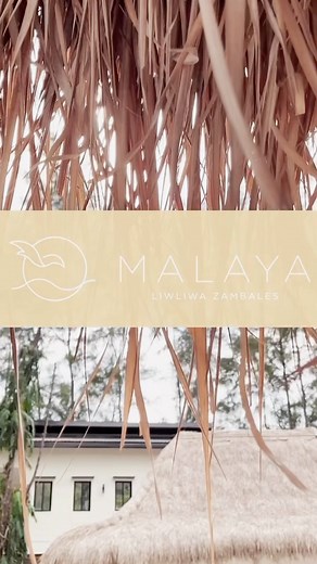 Calm Sunday🍂🍃🍂 . . 📍Malaya Beach Resort . . . . #MalayaBeachResort #Malaya #Liwliwa #Zambales #Beach #beachresort #beach #beachlife #travel #resort #vacation #beachvibes #beachvacation #beachview #summer #beautifuldestinations #beachday #beachsunset #beaching #islandlife #sea #paradise #sunset #luxuryresort #beachholiday #beachshoot #beachlove #resortlife | Malaya