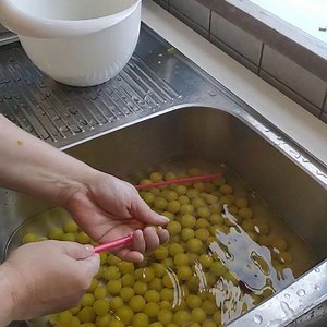 Fif til udstening af mirabeller/kirsebær etc. #sanke #mirabelle #kirsebær #pensionsandbogaard #sandbogaard #tipsogtricks #fif #bornholm #visitbornholm #sandvig #hjemmelavet #marmelade #homemade #naturen | Pension Sandbogaard