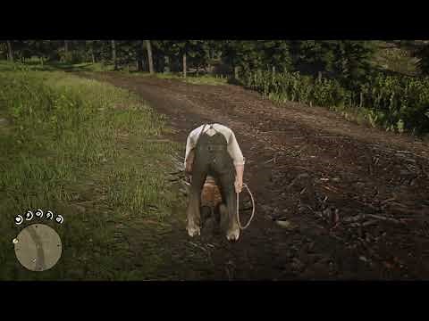 Red Dead Redemption 2: Bucket Hat in Epilogue 1