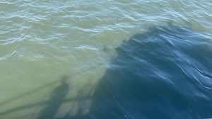 Island Princess Captree on Reels | Facebook