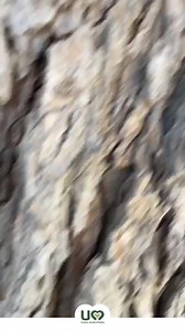 4 cose che non devi assolutamente perdere se visiti Assisi! #umbriatourism #umbriacuoreverde | Umbria tourism