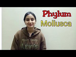 Phylum Mollusca | Biological classification part -17 | Class XI-Lecture 45