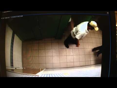 View From Above: Pride Restroom Cam