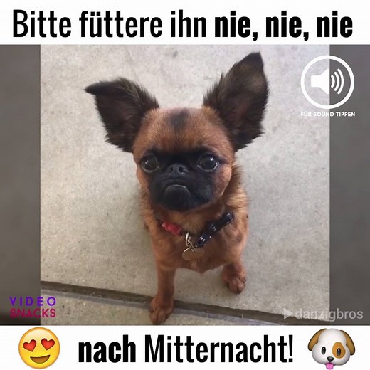 Was für ein süßer kleiner Gremlin ;) | Video Snacks