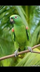 2.2K reactions · 764 shares | Irene Schultz on Reels | Facebook