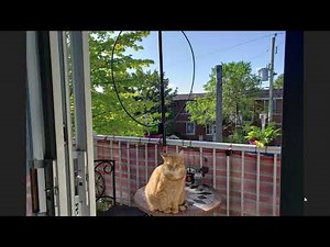 Shortwave radio videos Week of July 12th 2021
