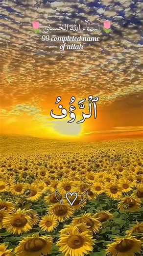 Allah 99 name 🍂⁦(⁠✿⁠ ⁠♡⁠‿⁠♡⁠)⁩ ْ نجيب محفوظ"❤️🕊️ . . . . . . . نجيب محفوظ هو واحد من أعظم الأدباء في تاريخ مصر والعالم العربي.. الاسم الكامل: نجيب محفوظ عبد العزيز إبراهيم أحمد الباشا. تاريخ الميلاد: 11 ديسمبر 1911. مكان الميلاد: حي الجمالية، القاهرة، مصر. الوفاة: 30 أغسطس 2006. أهم أعماله: الثلاثية الشهيرة: بين القصرين، قصر الشوق، السكرية زقاق المدق اللص والكلاب أولاد حارتنا (عمل مثير للجدل) ثرثرة فوق النيل الجوائز: حصل على جائزة نوبل في الأدب سنة 1988، وهو أول أديب عربي يفوز بها. أسلوبه: ركز