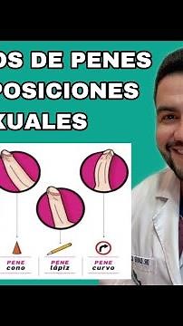 LAS DIFERENTES POSICIONES SEXUALES PARA CADA TIPO DE PENE / TIPOS DE PENES | DR. DAVID CAMPOS