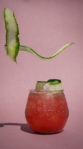 Looking back on another great month at Jaz Amsterdam, Stuttgart and Vienna. #jazinthecity #viennahotel #stuttgarthotel #viennahotel | Jaz in the City