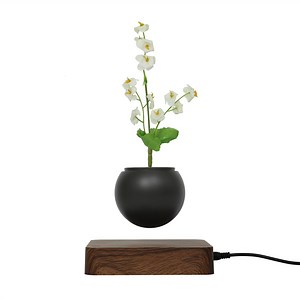 [Hot Item] 360 Spinning Magnetic Levitation Suspension Floating Plant Pot Decoratation Gift