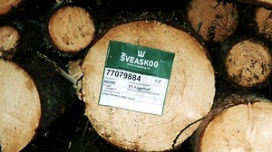 Därför skruvas avkastningskravet upp på Sveaskog