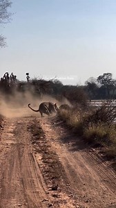 😱😱😱 | Whiskey Tango & Co.