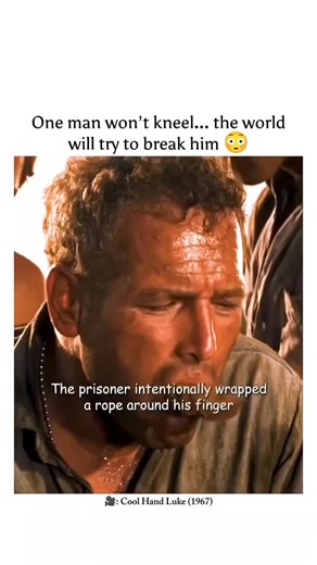 Movies nation on Instagram: "✊ “One man… one fight… against a world that refuses to bend.” --- CREDITS: 🎬 Cool Hand Luke (1967) 🎭 Starring: Paul Newman, George Kennedy, Strother Martin 📅 Released: November 1, 1967 🎞️ Genre: Drama | Crime 🌍 Country: United States --- About: Luke, a rebellious prisoner in a Florida prison camp, refuses to conform to the harsh rules. His spirit, wit, and defiance make him a legend among inmates — and a thorn in the side of the authorities. > “What we endure ca