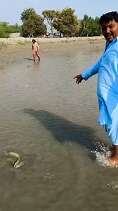 54K views · 902 reactions | #fish #farm | Fish catching | Facebook