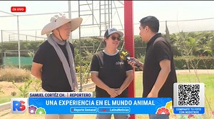 #LatinaNoticias | Una experiencia en el mundo animal. | Reporte Semanal