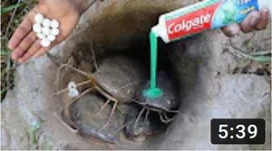 Dandreb Abesamis on Reels