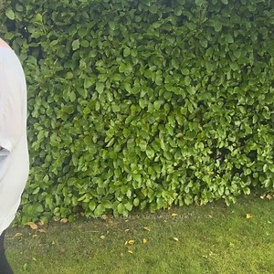 Very glamorous 🤩 | Room Lytham