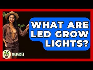 What Are LED Grow Lights? - The Plant Enthusiast