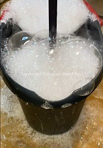 Sudsy Lavender Fabuloso Mopping with Ajax Combo