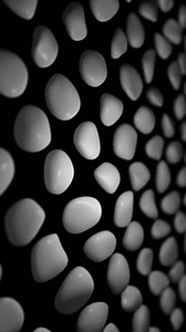 Vertikales Video - Einfacher schwarz-weißer Musterhintergrund: Stockvideos & Filmmaterial (100 % lizenzfrei) 3444714451 | Shutterstock