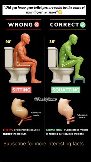 You’ve Been Pooping Wrong Your Whole Life! (Sitting vs. Squatting)#trend #health #healthhacks