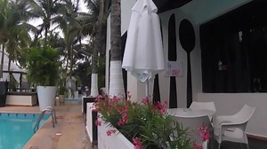 43 reactions | Early morning sneak peak....getting ready for another day in paradise! #Cancun Oh by Oasis | Oasis Hotels & Resorts | Facebook