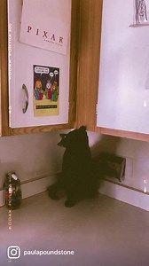 Lawson, the House Panther, prepares for the holidays. | PAULA POUNDSTONE