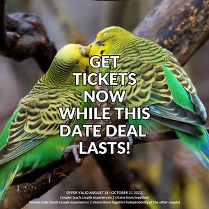 Looking for a new date night adventure? Grab our couples and double date package at SeaQuest 💛 https://bit.ly/3Pj1yoI *Not all animals or interactions portrayed in this media are attached to this location, animal availability changes by state, please check our site for animal interactions and locations. * #SeaQuest #VisitSeaQuest #OttersOfIg #StingrayCity #CapybarasOfInstagram #SlothSquad #SlothSunday #Slothlover #Axolotosofig #AxolotlSalamander #Wallabys #AnimalLovers #AnimalVideos #MarineLife