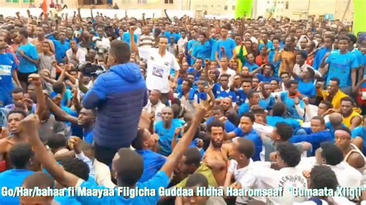 Fiigicha Gumaata Xiiqii Godina Harargee Bahaafi Magaalaa Maayaa | Oromia Communication Bureau