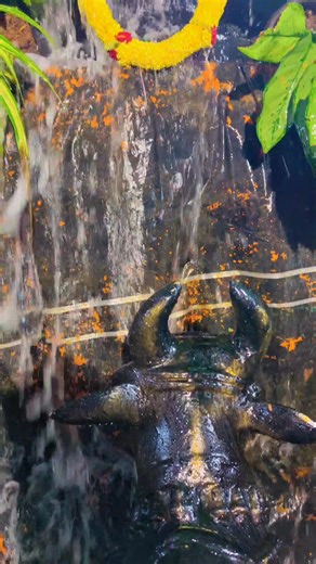 Behind the Scenes: Cox Town Dasara Car & Pallaki Festival Decoration | Walking Tour #PallakiDecoration #FestivalVibes #WalkingTour | South Tube | Facebook