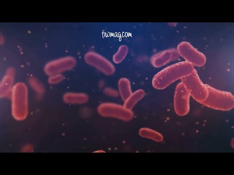 Uterine Microbiome and Pregnancy