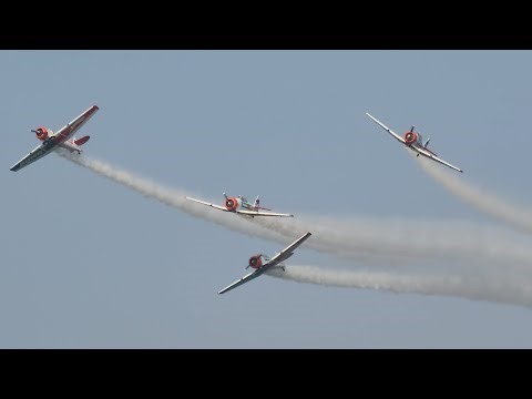 Durban Virginia Airshow 2023 Puma Flying Lions North American AT-6C Texan "Harvard"