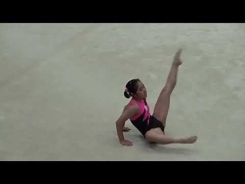 2015年IH 体操 女子 ゆか 決勝⑦