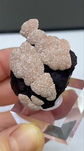2.2K views · 476 reactions | Rhodochrosite and goethite from Potosi...