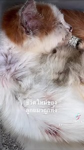 ดูสิ ใช่คนเดียวกันหรือเปล่า | ลุงหมอขอพักร้อน