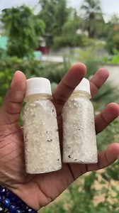 Les dernières bouteilles de sel (Attirance) disponible les loulous ❤️; l’attirance ça compte dans le couple et on nourrit les sentiments tous les jours. Prendre son bain avec ce sel te rapproche de ton partenaire et vous rends complice. C’est le moment de marquer votre territoire les belles, le dehors est risqué. Les effets sont immédiats et crois-moi les paroles de ton homme après tes bains, vont te faire pâlir… ☺️❤️🤍 | PLAISIRS D’ESSENCES