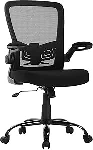 FDW Ergonomic Mesh Office Chair, Executive Rolling Swivel Chair, Computer Chair with Lumbar Support Desk Task Chair for Women, Men(Black)