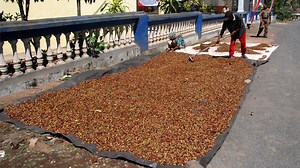 Kopi Dampit Kini Makin Dikenal Pencinta Kopi Dunia